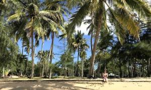 Лучшие пляжи на Фукуоке (Вьетнам): карта, отзывы, фото Лучшие пляжи на фукуок вьетнам