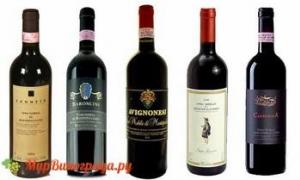 I vini della Toscana e le loro caratteristiche Vigneti toscani