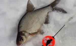 Pesca in inverno su galleggiante e bilanciere