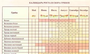 Harta ciupercilor din regiunea Moscovei Harta locurilor ciupercilor din regiunea Moscovei