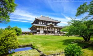 Città di Nara, Giappone Incredibile Nara: la Mecca giapponese per i turisti di tutto il mondo